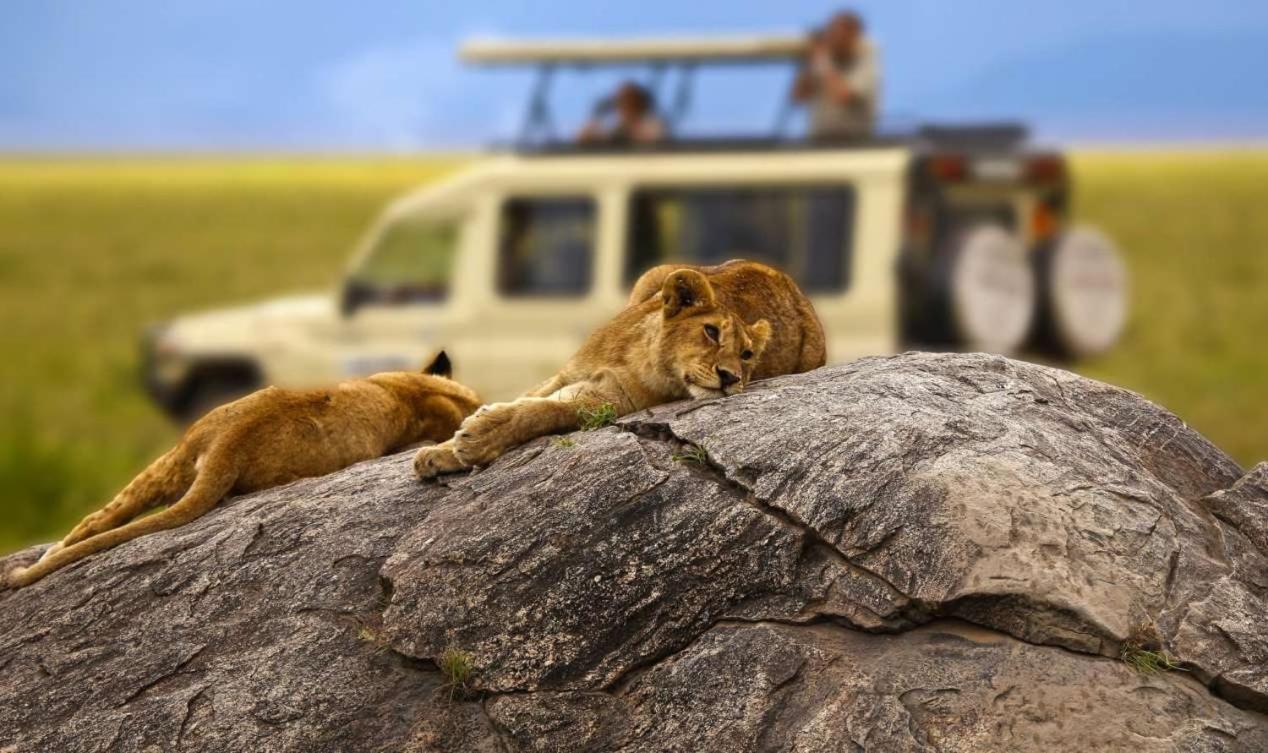 Rayan Apartments & Safaris 아루샤 외부 사진